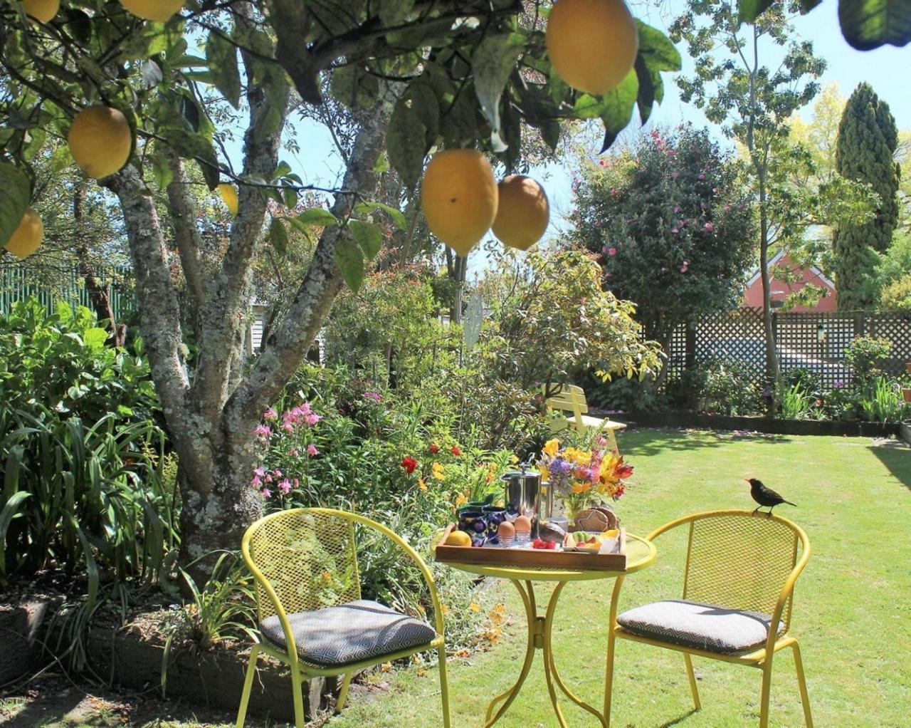 Annick House Bed And Breakfast Nelson Exteriör bild
